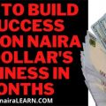 How-To-Build-A-Success-Million-Naira-Or-Dollar's-Business-In-Months,-NairaLEARN