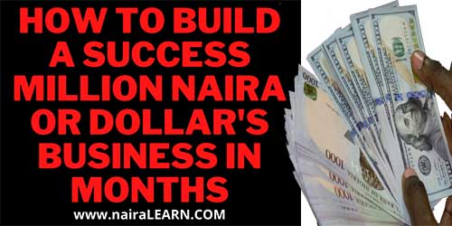 How-To-Build-A-Success-Million-Naira-Or-Dollar's-Business-In-Months,-NairaLEARN