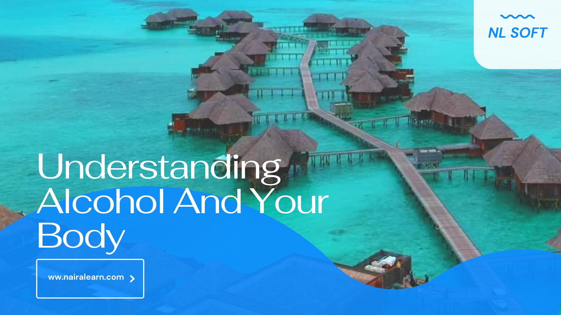 Understanding Alcohol And Your Body