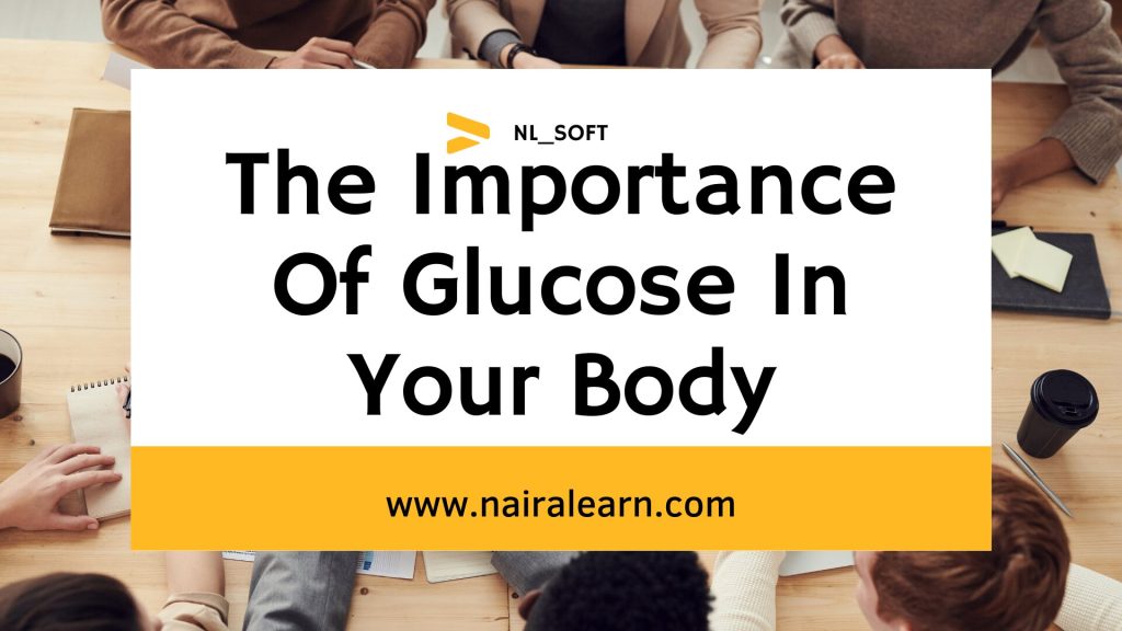 The Importance Of Glucose In Your Body