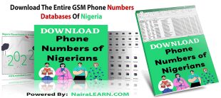 Phone Numbers of Nigerians