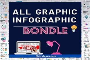 Graphic And Infographic Bundle, nairalearn